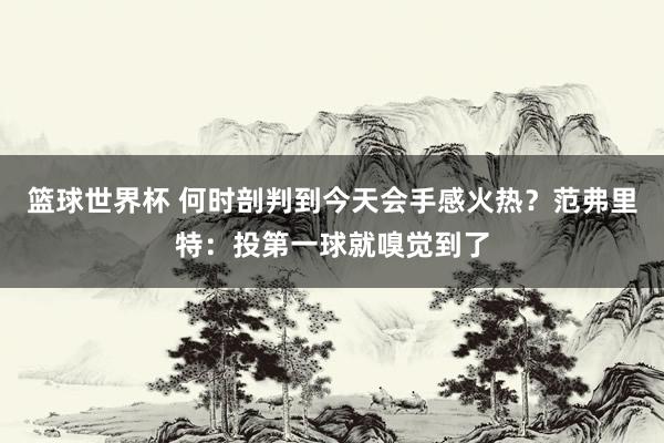 篮球世界杯 何时剖判到今天会手感火热？范弗里特：投第一球就嗅觉到了