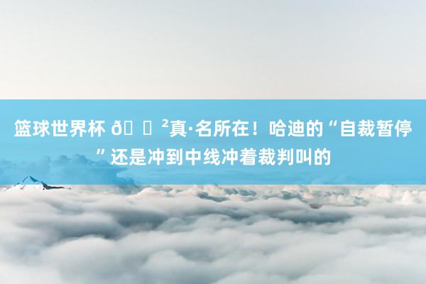 篮球世界杯 😲真·名所在！哈迪的“自裁暂停”还是冲到中线冲着裁判叫的