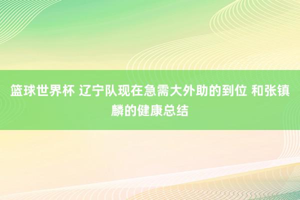 篮球世界杯 辽宁队现在急需大外助的到位 和张镇麟的健康总结