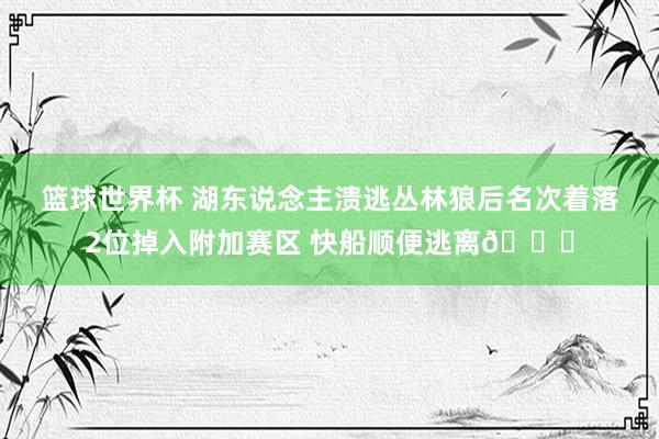 篮球世界杯 湖东说念主溃逃丛林狼后名次着落2位掉入附加赛区 快船顺便逃离😋