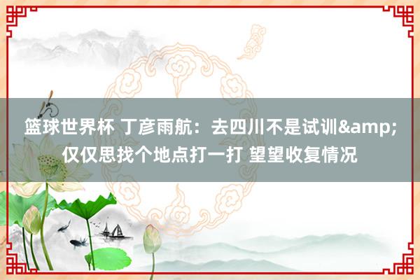 篮球世界杯 丁彦雨航：去四川不是试训&仅仅思找个地点打一打 望望收复情况